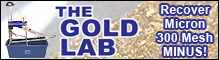 Gold Lab