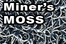 Miners Moss